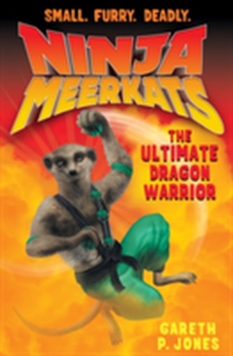 The Ultimate Dragon Warrior The Ultimate Dragon Warrior