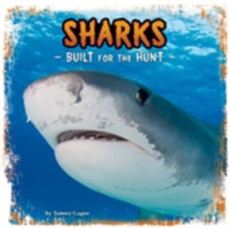 Sharks Sharks