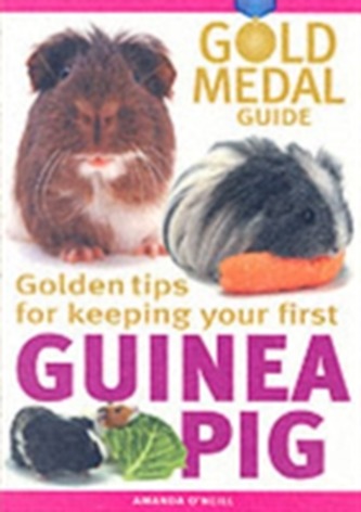 Guinea Pig