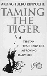 Taming The Tiger