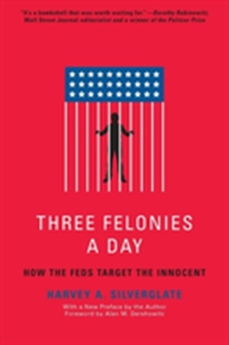 Three Felonies a Day