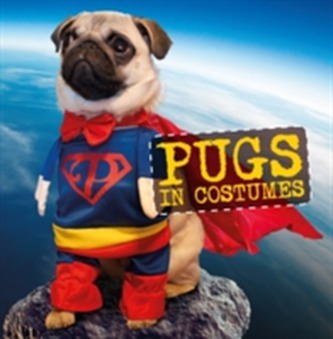 Pugs in Costumes