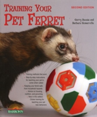 Training Your Pet Ferret
