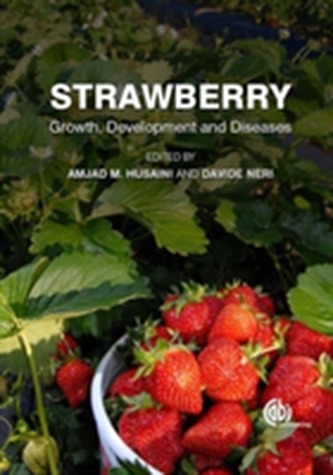 Strawberry Strawberry