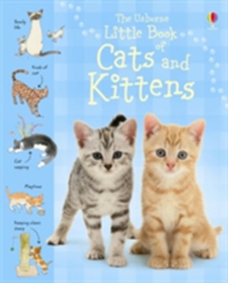 Little Book of Cats and Kittens