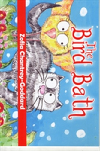The Bird Bath