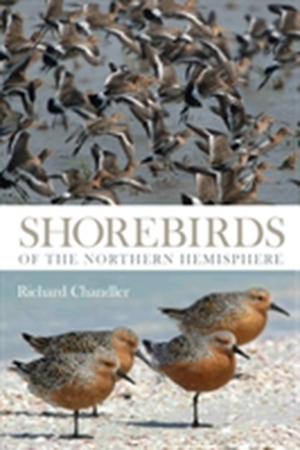 Shorebirds of the Northern Hemisphere Shorebirds of the Northern Hemisphere