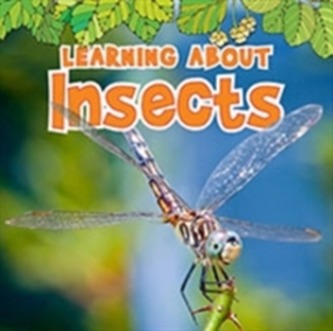 Learning About Insects Learning About Insects