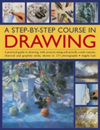 A Step-by-step Course in Drawing