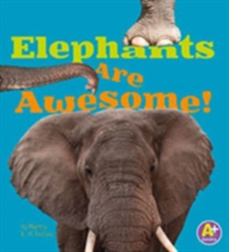 Elephants Are Awesome!