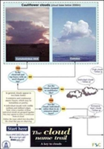 The Cloud Name Trail