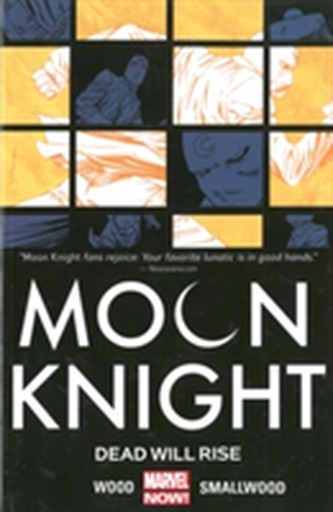 Moon Knight Volume 2: Blackout