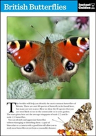 British Butterflies British Butterflies
