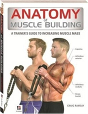 Anatomy of Muscle Building