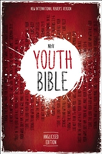 NIrV, Youth Bible, Anglicised Edition, Hardcover