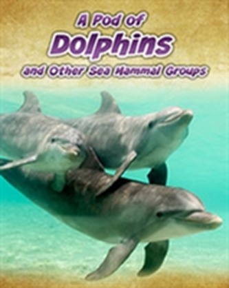 A Pod of Dolphins