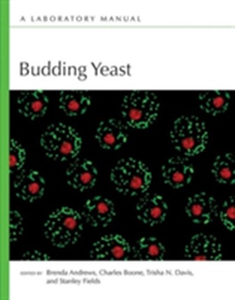 Budding Yeast