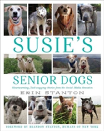 Susie's Senior Dogs