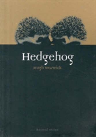 Hedgehog