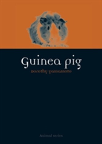 Guinea Pig Guinea Pig