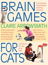 Brain Games for Cats