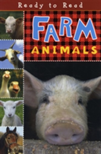 Farm Animals