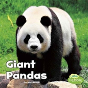 Giant Pandas