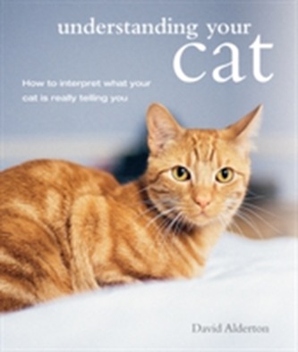 Understanding Your Cat Understanding Your Cat
