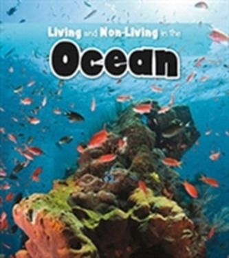 Living and Non-living in the Ocean