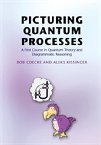 Picturing Quantum Processes