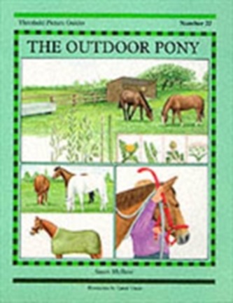 The Outdoor Pony