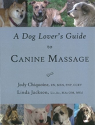 A Dog Lover's Guide to Canine Massage