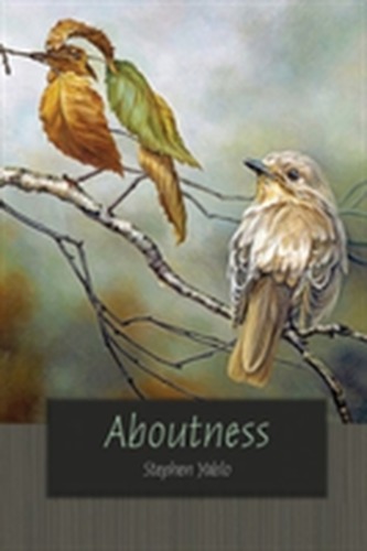 Aboutness