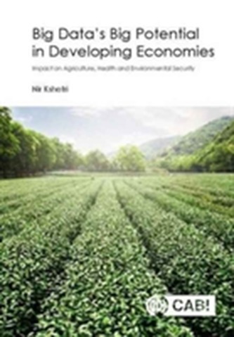 Big Data's Big Potential in Developing Economies