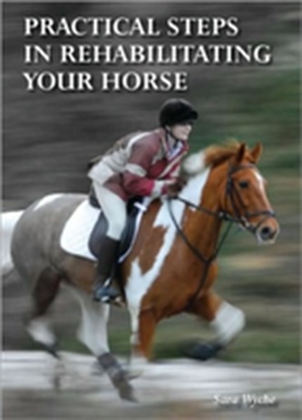 Practical Steps in Rehabilitating your Horse