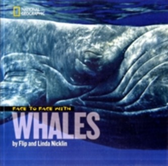 Face to Face with Whales