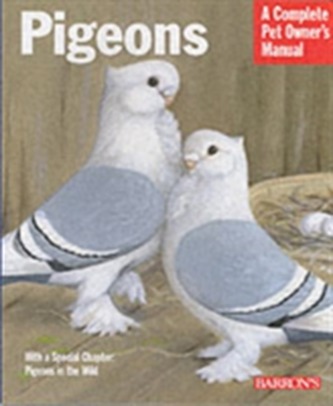 Pigeons