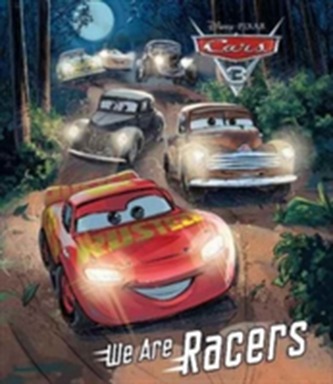 Disney Pixar Cars 3 We Are Racers