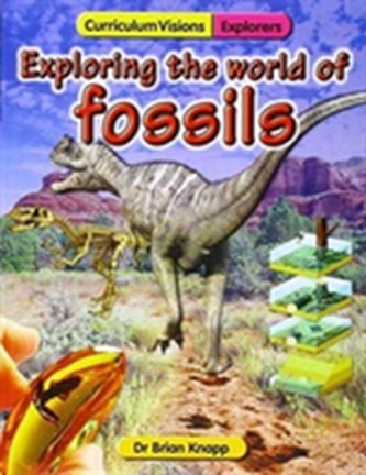 Exploring the World of Fossils