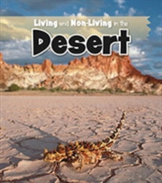 Living and Non-living in the Desert