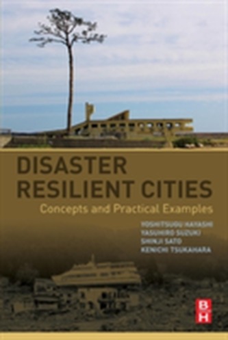 Disaster Resilient Cities