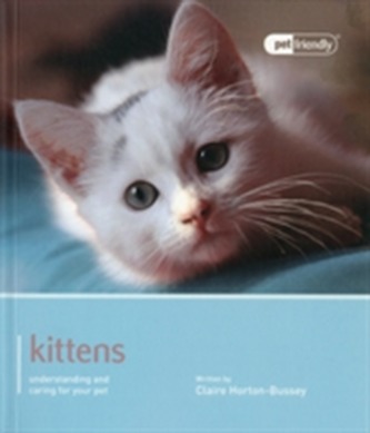 Kitten - Pet Friendly