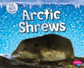 Arctic Shrews