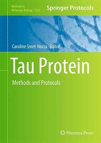 Tau Protein