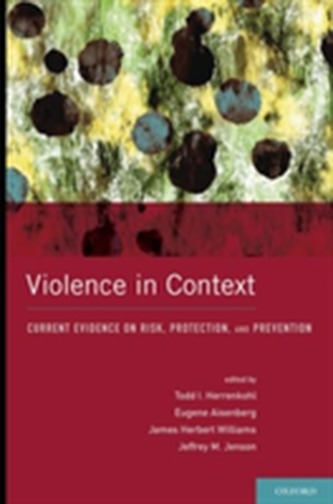 Violence in Context