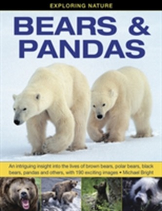 Exploring Nature: Bears & Pandas Exploring Nature: Bears & Pandas