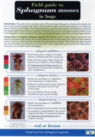 Field Guide to Sphagnum Mosses in Bogs
