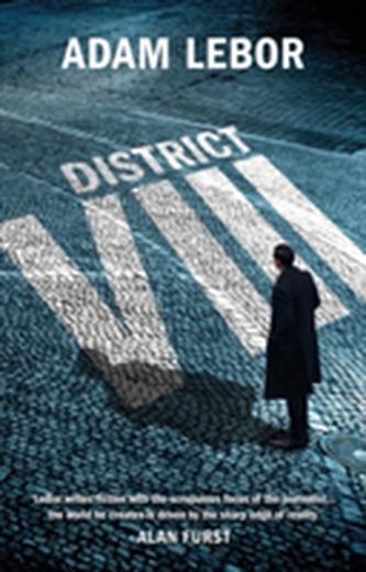 District VIII