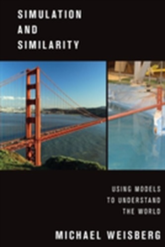Simulation and Similarity