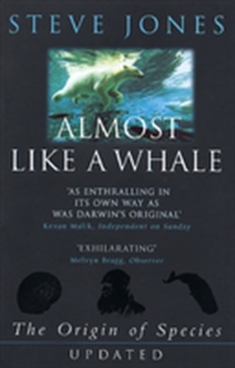 Almost Like A Whale Almost Like A Whale